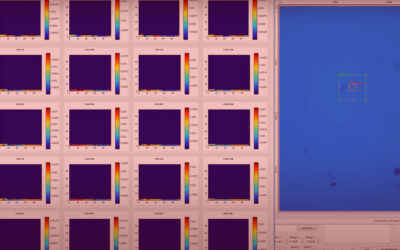 Polarised Raman Map