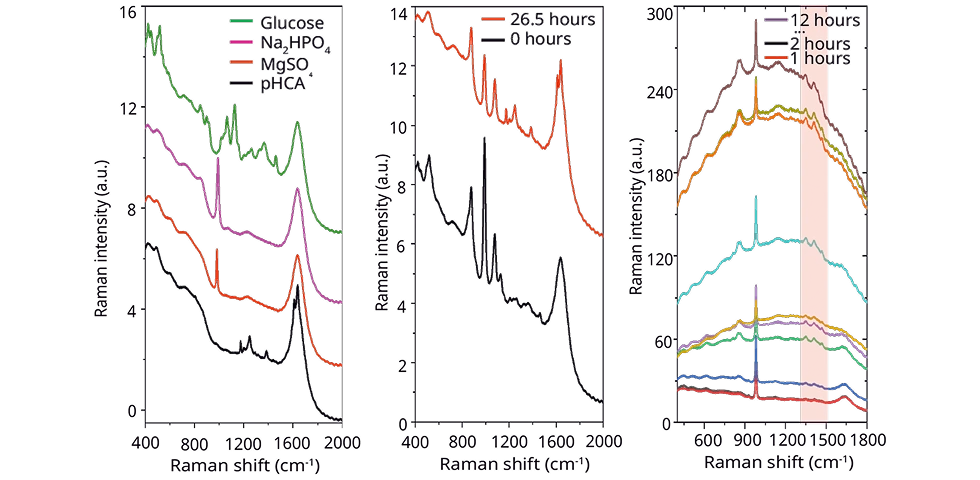 ApN-003 Quantification of nutrients and metabolites during fermentation
