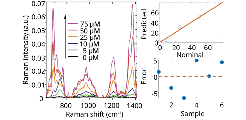 ApN-005 Quantification of anti-cancer drug via SERS mapping