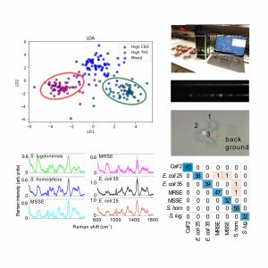 Raman Spectroscopy Analysis Image