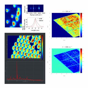 Mapping Technique Image