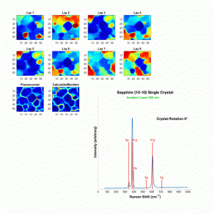 Polarized Analysis Image