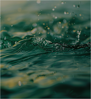 Lightnovo Joins WATERsense: Pioneering Real-Time Water Pollutant Detection with Advanced Raman Spectros
