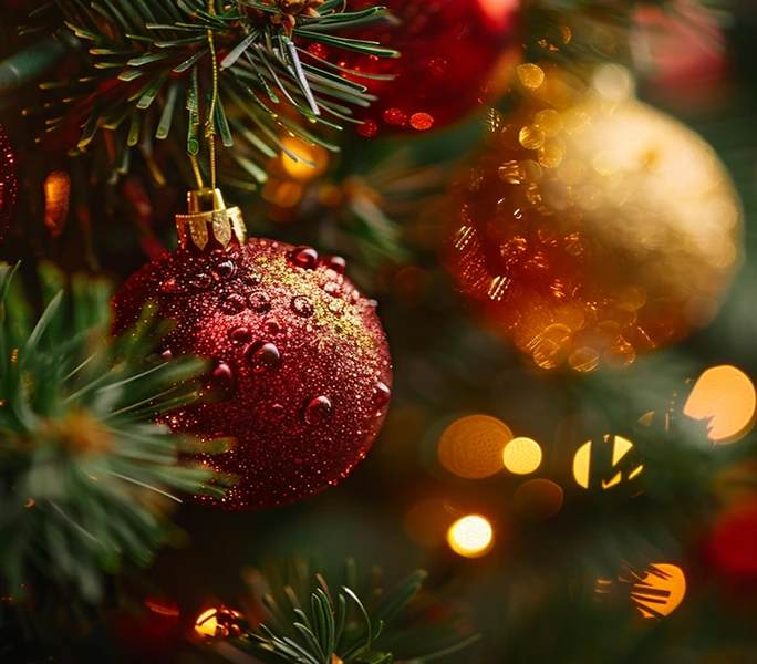miniRaman spectroscope for Analysis of Christmas Tree Needles