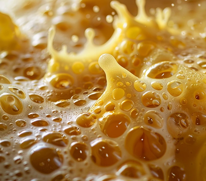 miniRaman microscope for Nutrient and Metabolite Quantification in Fermentation