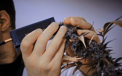 Lightnovo Research Published in the Journal of Raman Spectroscopy