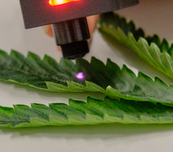 miniRaman Spectrometer for Analysis of Honey and Syrups